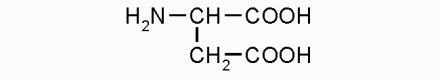 Аспарагиновая кислота*