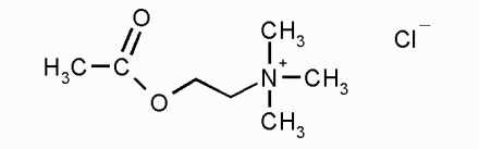 Ацетилхолина хлорид