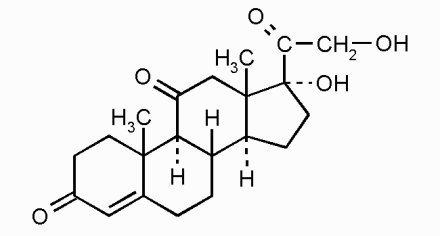 Кортизон*