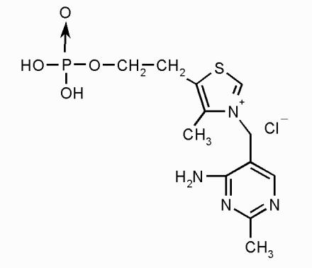Монофосфотиамин*