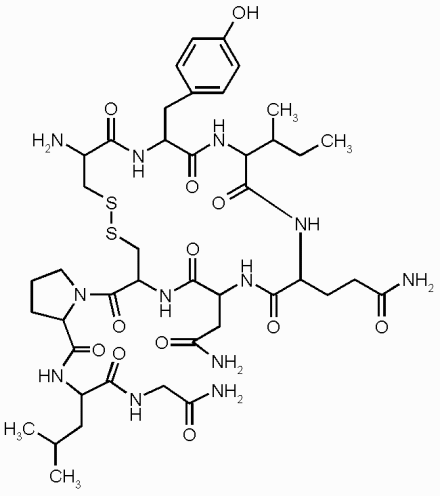 Окситоцин*