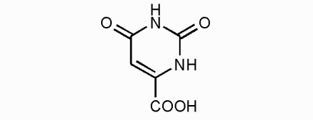 Оротовая кислота*