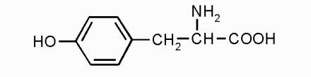Тирозин*