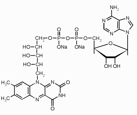 Флавинаденина динуклеотид