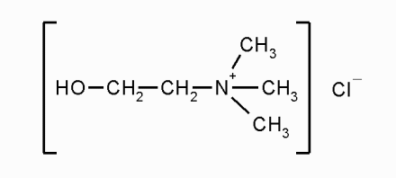 Холина хлорид*